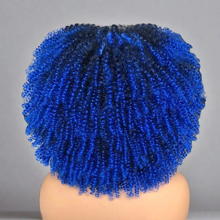 Colorful Curly Afro Wig