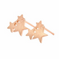 Starry Stud Earrings