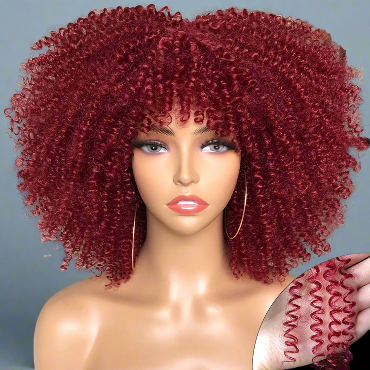 Colorful Curly Afro Wig