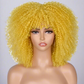 Colorful Curly Afro Wig