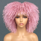 Colorful Curly Afro Wig