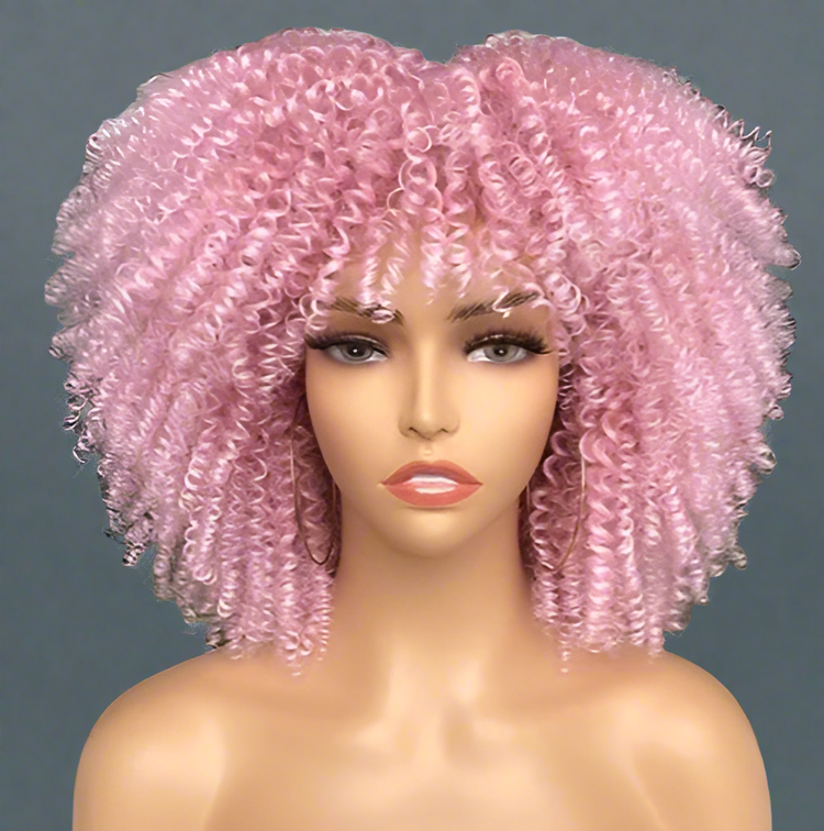 Colorful Curly Afro Wig