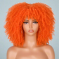 Colorful Curly Afro Wig