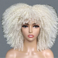 Colorful Curly Afro Wig