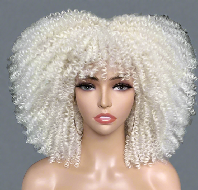 Colorful Curly Afro Wig