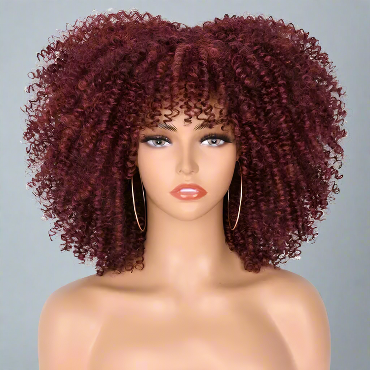 Colorful Curly Afro Wig