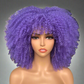 Colorful Curly Afro Wig