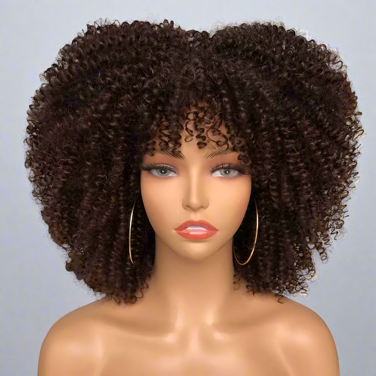 Colorful Curly Afro Wig