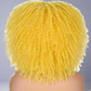 Colorful Curly Afro Wig