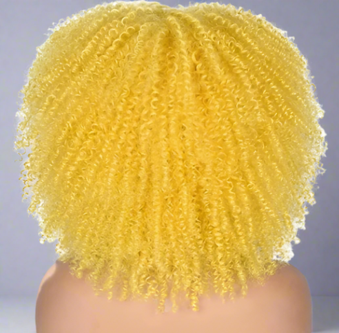 Colorful Curly Afro Wig