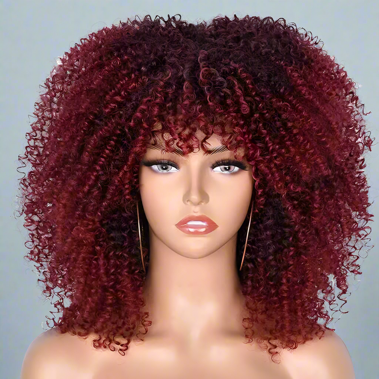 Colorful Curly Afro Wig