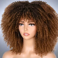 Colorful Curly Afro Wig