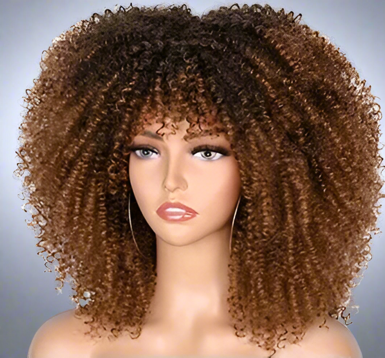 Colorful Curly Afro Wig