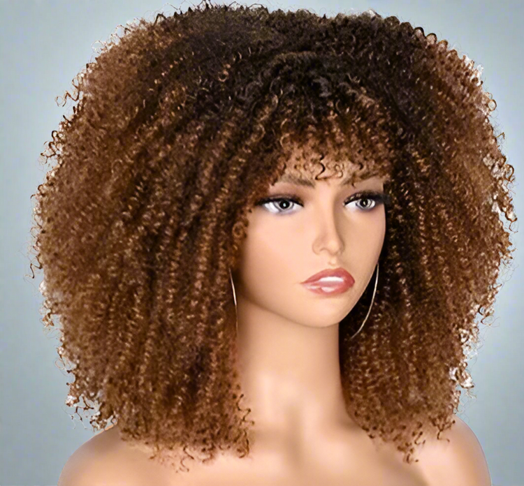 Colorful Curly Afro Wig