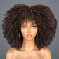 Colorful Curly Afro Wig