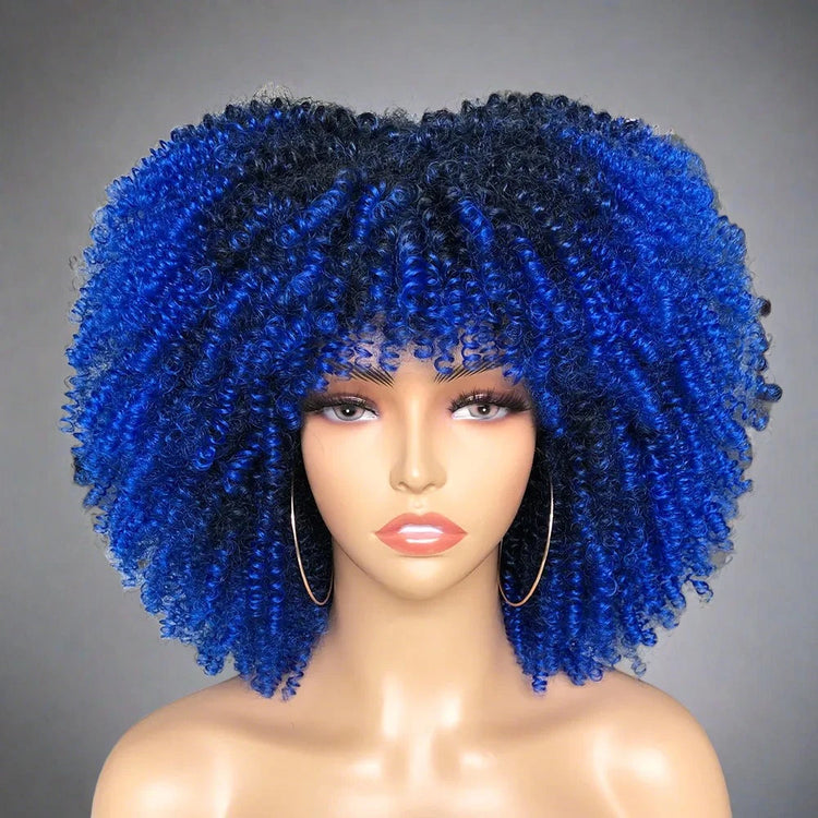 Colorful Curly Afro Wig