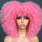 Colorful Curly Afro Wig