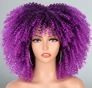 Colorful Curly Afro Wig