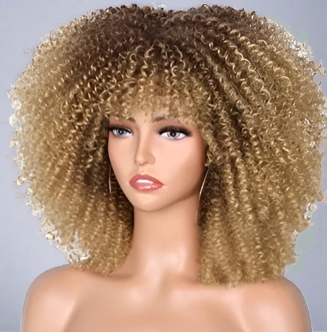 Colorful Curly Afro Wig