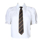 Pleated Mini Skirt Dress and Shirt with Tie Set