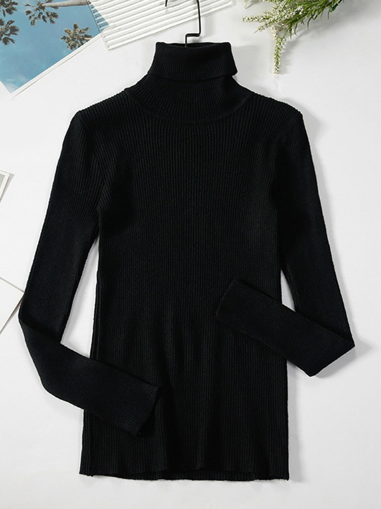 Simple Ribbed Turtleneck