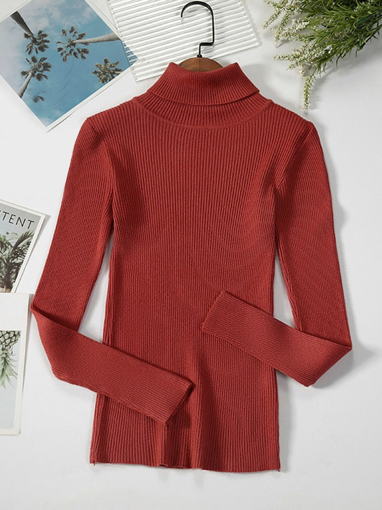Simple Ribbed Turtleneck